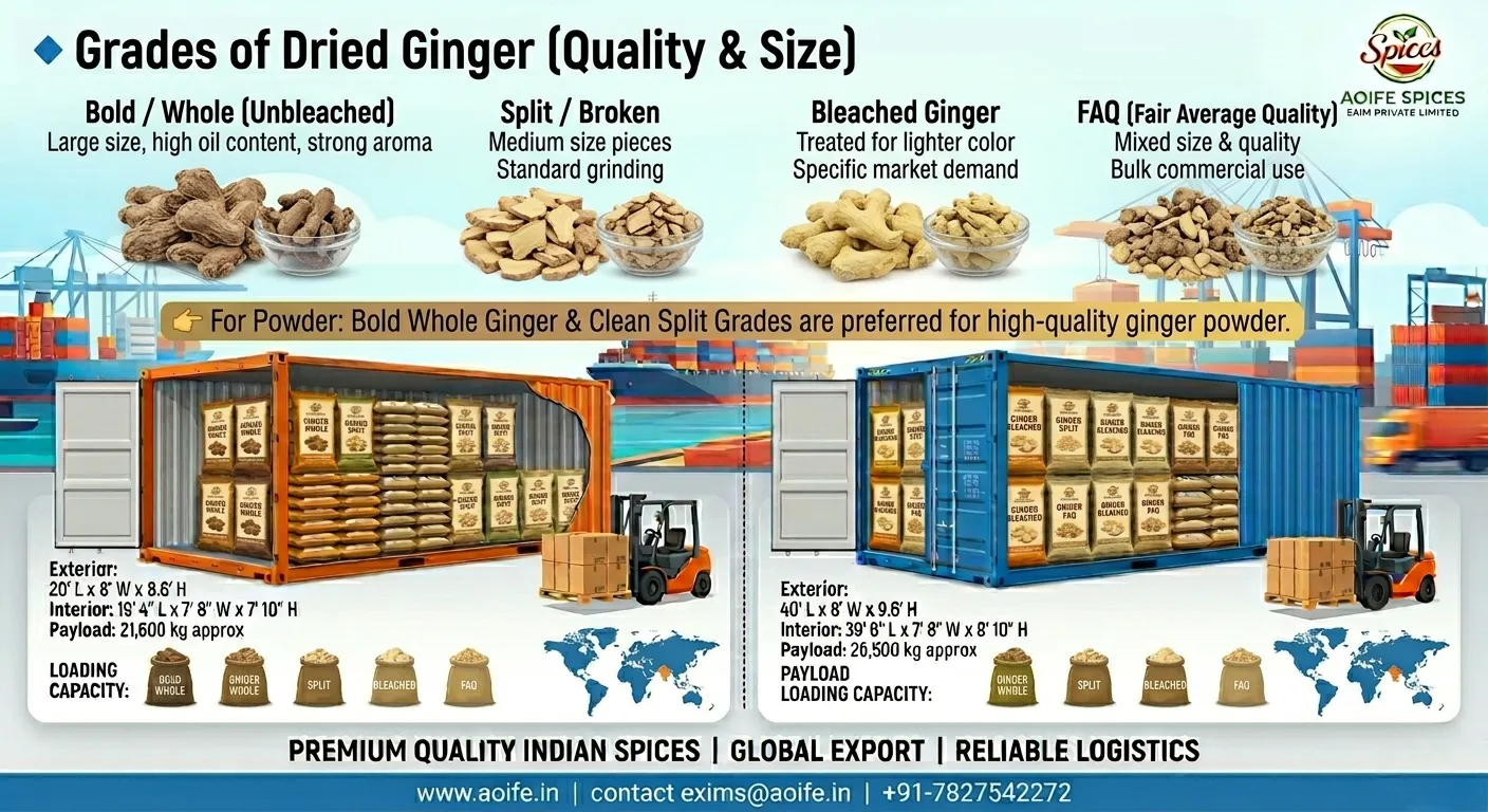 Ginger Powder – Premium Export Quality from India - Image 4